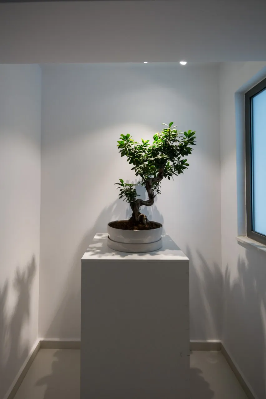 Daphne Apartment Glyfada Crystal Green Properties 28